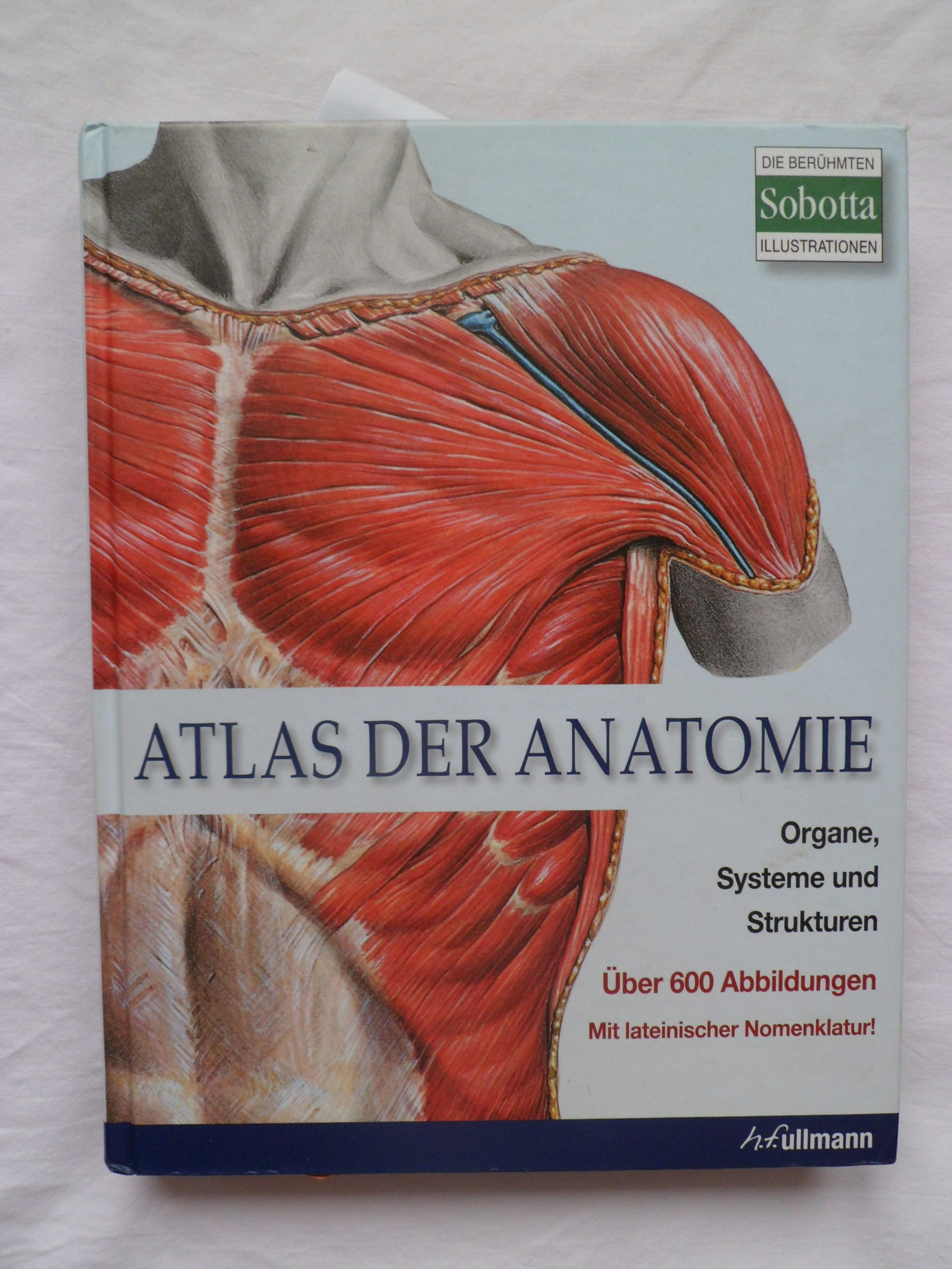 You are currently viewing Atlas der Anatomie