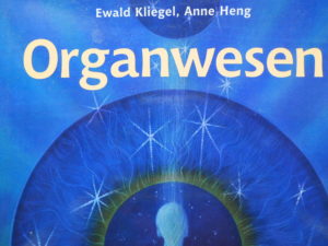 Read more about the article Organwesen