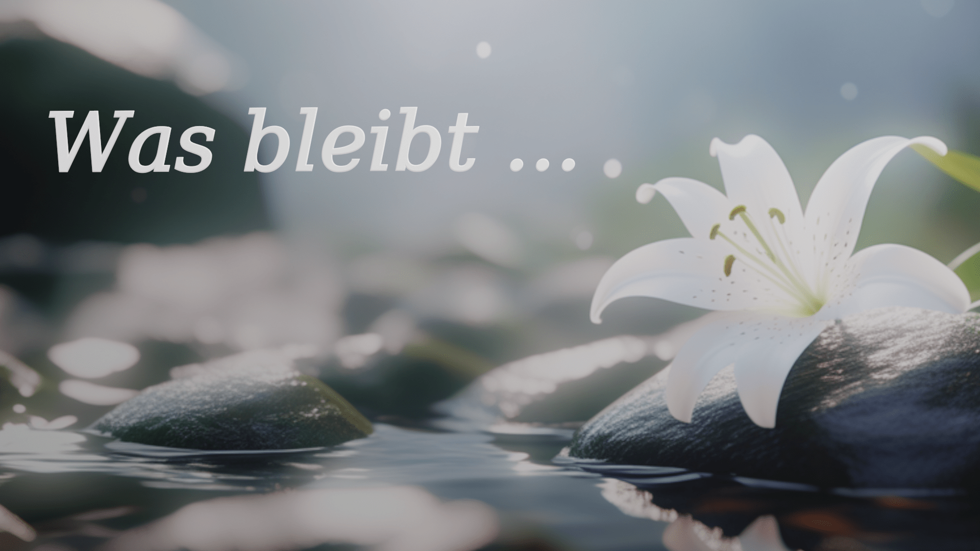 You are currently viewing Was bleibt…